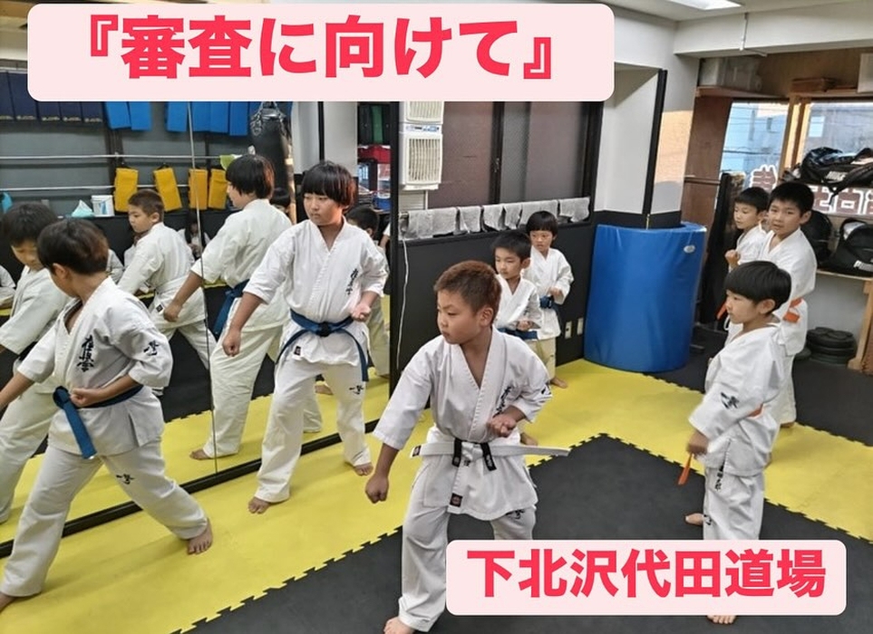 画像2875