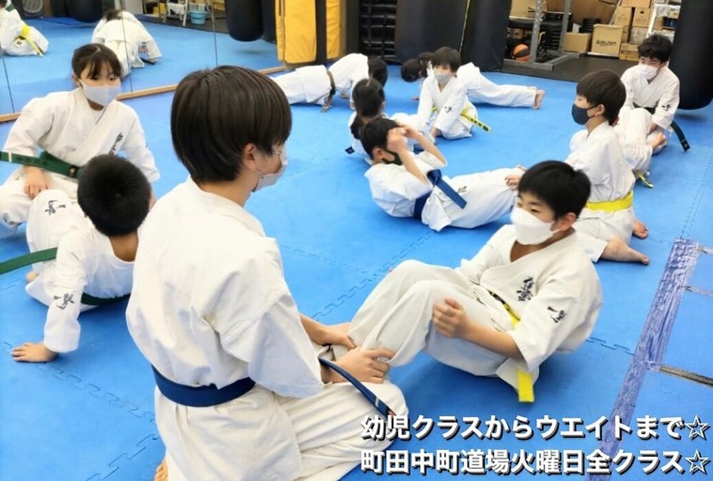 画像519