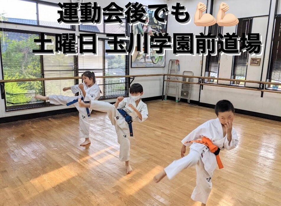 画像837